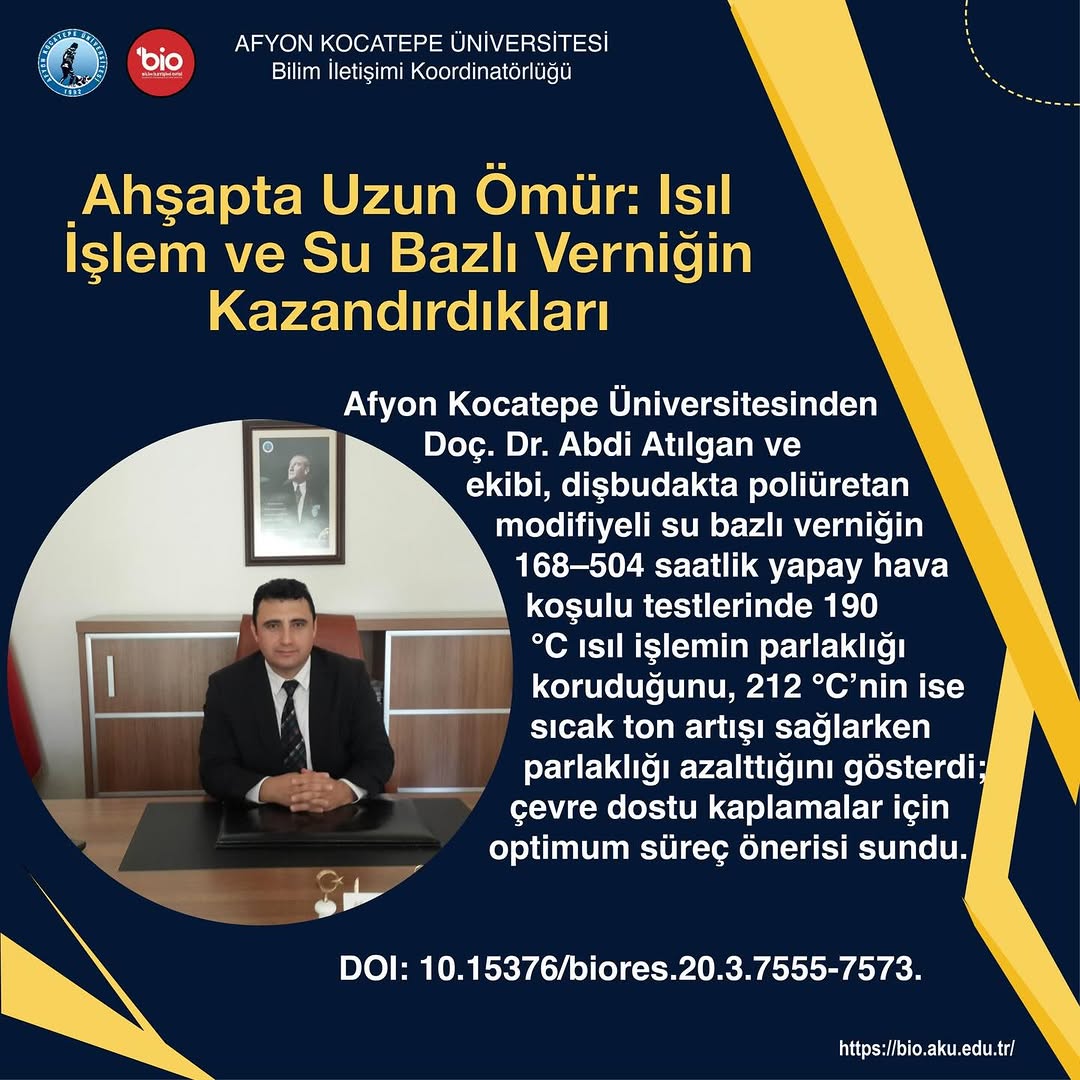 Ahşap Kaplamada Çığır Açan Araştırma: Isıl İşlem ve Çevre Dostu Verniğin Etkileri