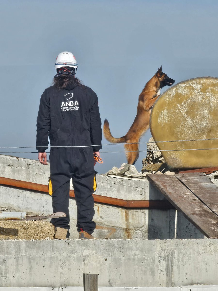 AFAD Köpekli Arama Ekibi Enkaz Eğitimlerine Başlıyor