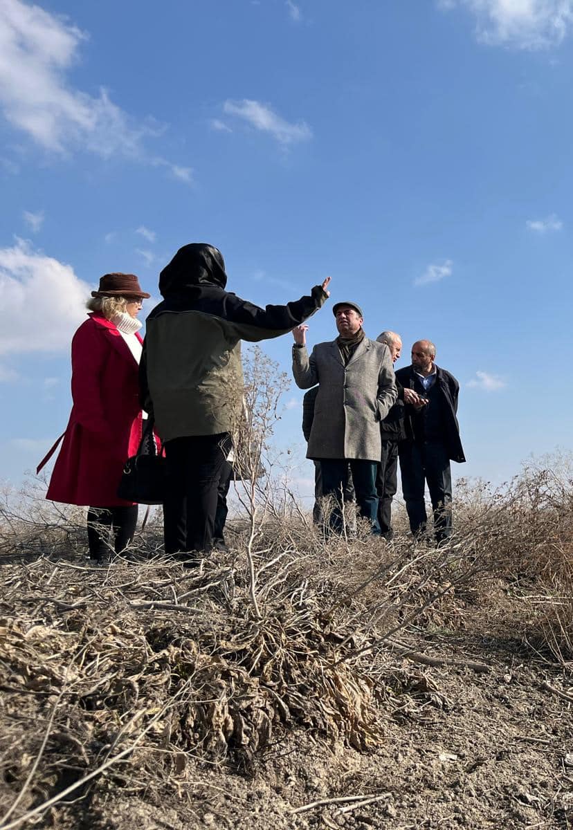 Afyonkarahisar Valiliği'nden Eber Gölü İçin Ekolojik Müdahale Planı