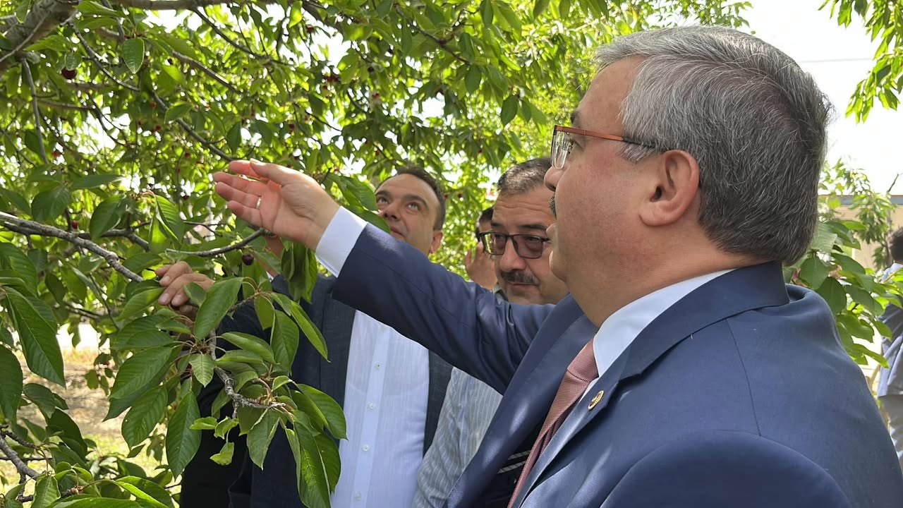 Zirai Don, Meyve Üreticilerini Vurdu