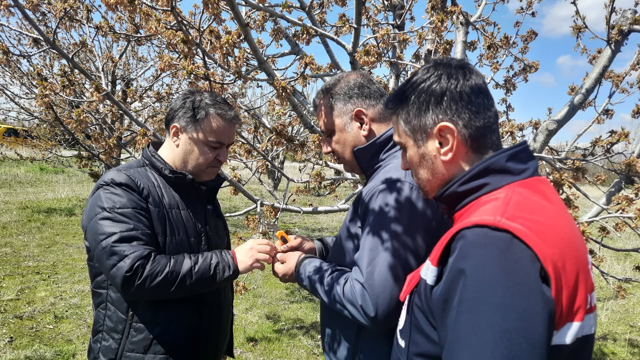 Afyonkarahisar'da Don Etkisiyle Tarım Alanlarında Zarar Oluştu