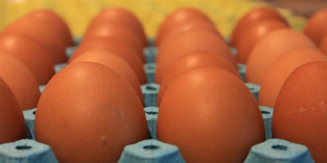 Yumurta Fiyatları Düşüşte: Üreticiden Çıkış Fiyatı 35 TL'ye Geriledi