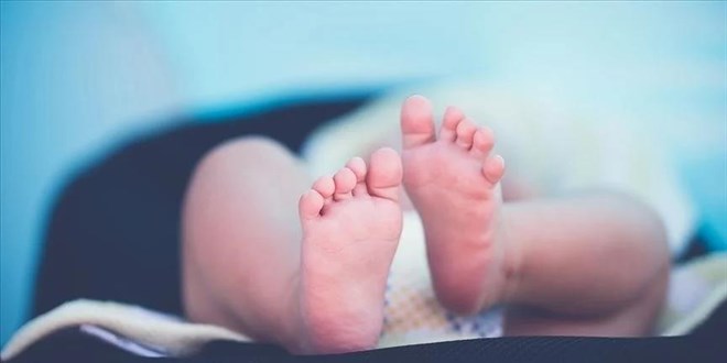 Doğum Yapanlara Kredi Borcu Silinmesi Düzenlemesi Geliyor