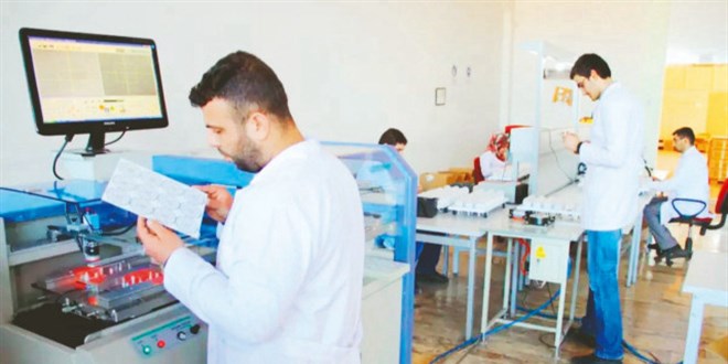 KOBİ'ler Dijital Dönüşüm ve Yeşil Mutabakat ile Büyüme Arayışında