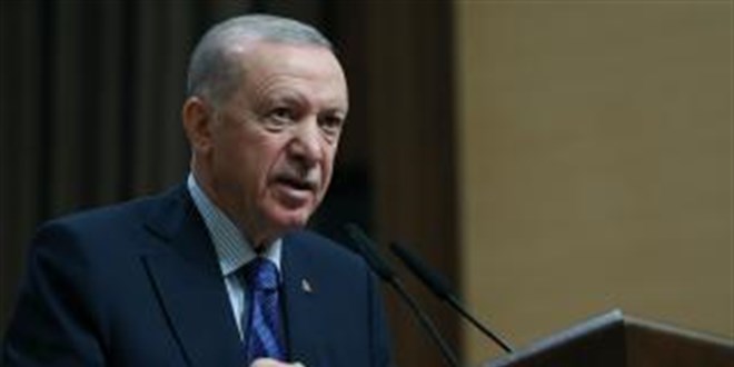 Türkiye'nin Orman Varlığı 234 Milyon Hektara Ulaştı
