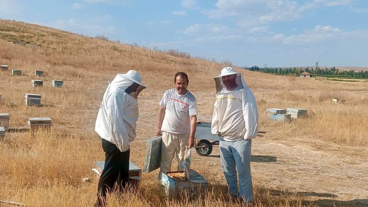 Çobanlar, Emirdağ ve Sandıklı’da Arılı Kovan Sayımı Yapıldı
