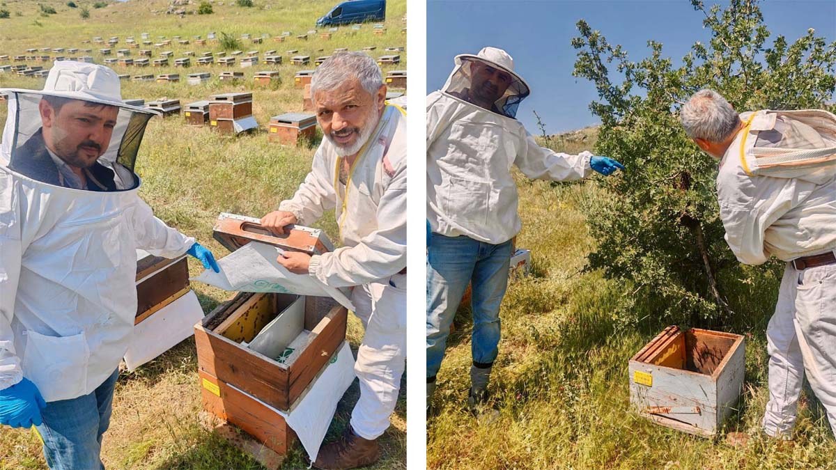 Şuhut'ta Arılı Kovanlara Sıkı Denetim