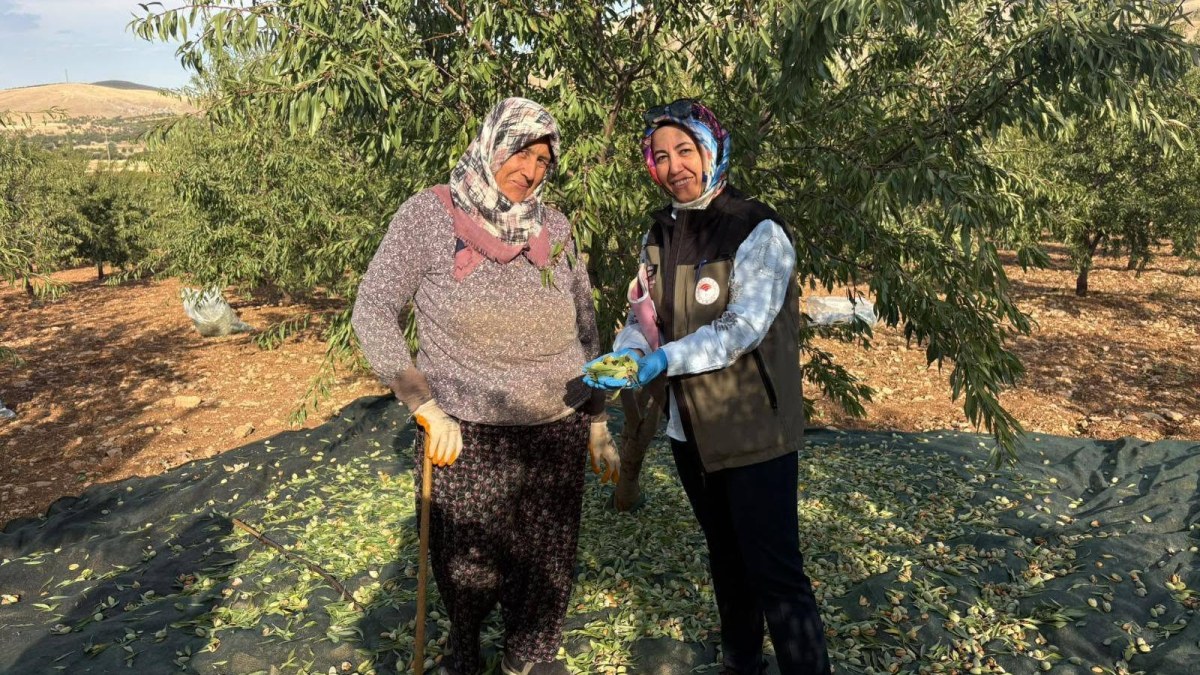 Afyon’da Meyve Bahçelerinde Xylella Fastidiosa Kontrolü