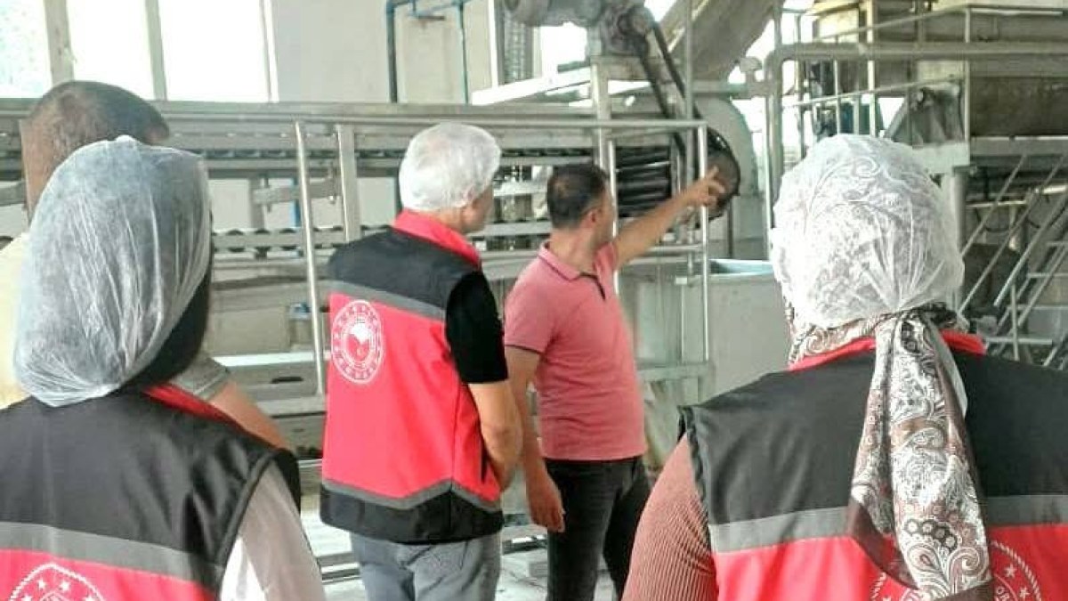 Stajyer Öğrenciler Sahada Mesleki Deneyim Kazanıyor
