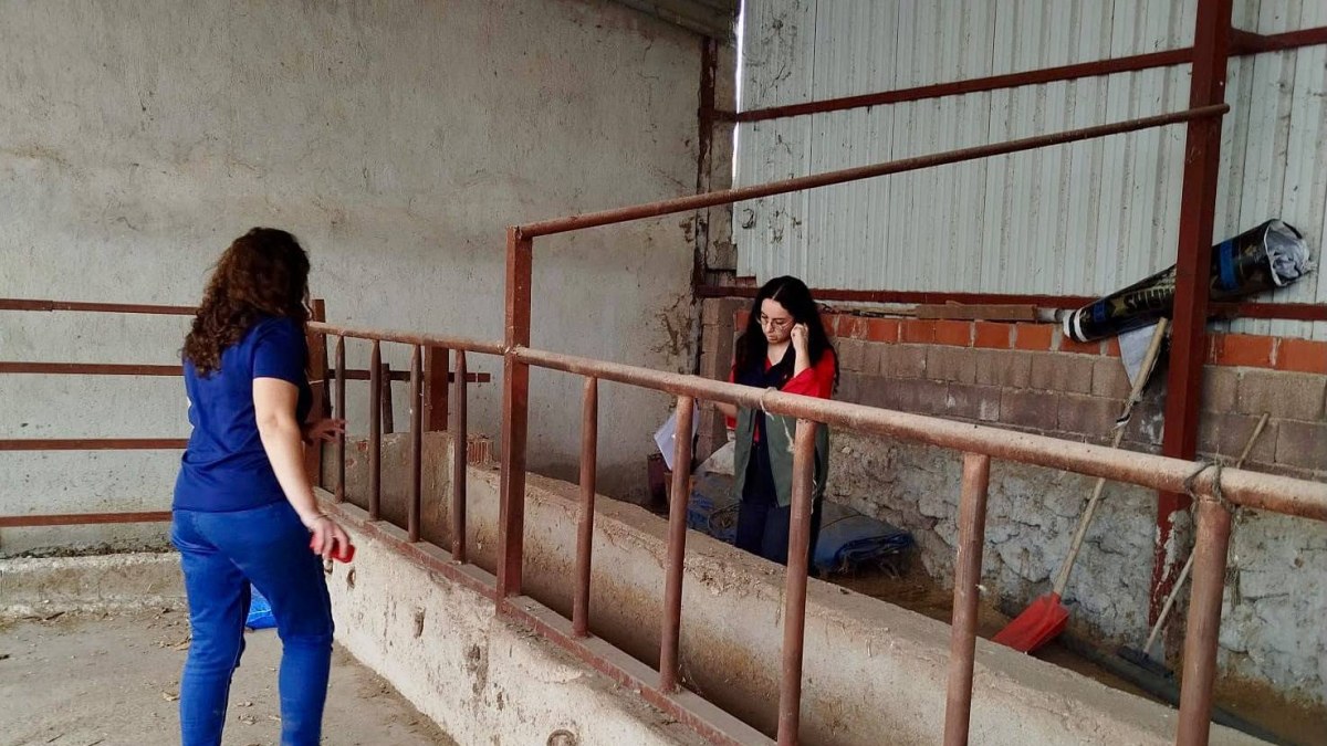 Evciler’de Hayvancılık İşletmelerine Saha Ziyareti