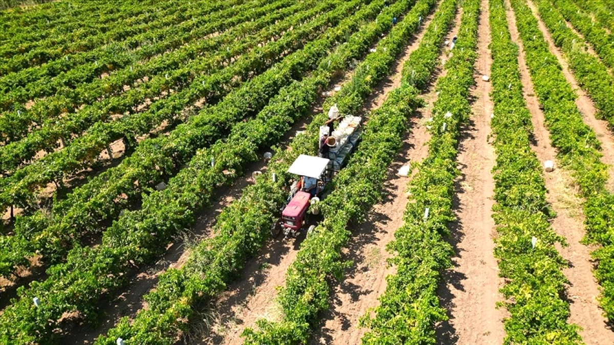 Çiftçilere 17.4 Milyar Liralık Destek Bugün Ödenecek