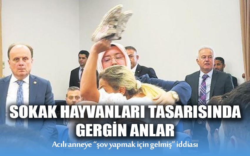 Sokak Hayvanları Tasarısında Gergin Anlar 