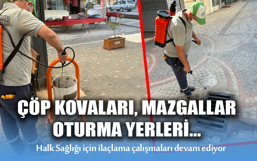 İlçenin her tarafı ilaçlanıyor