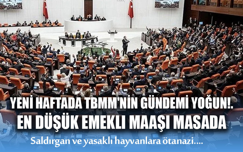 Meclis yoğun gündemle toplanıyor