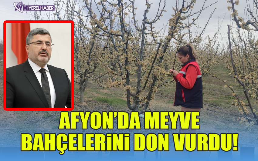 Afyon'da Soğuk Hava Tarıma Büyük Zarar Verdi!