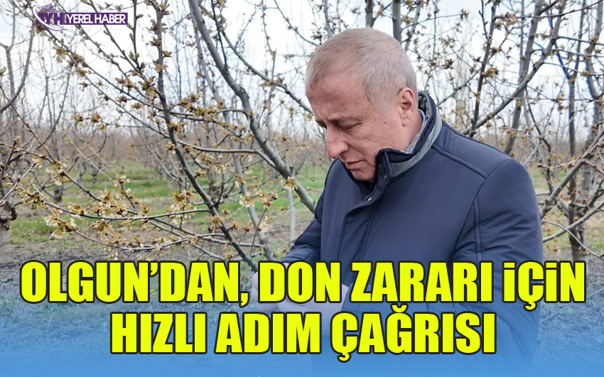Olgun Afyonkarahisar'daki Don Zararı İçin Hızlı Adım Çağrısı