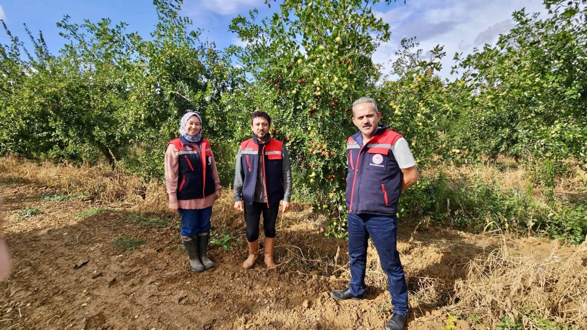 Başmakçı’da Hünnap Bahçelerinde Hasat Öncesi Kontrol