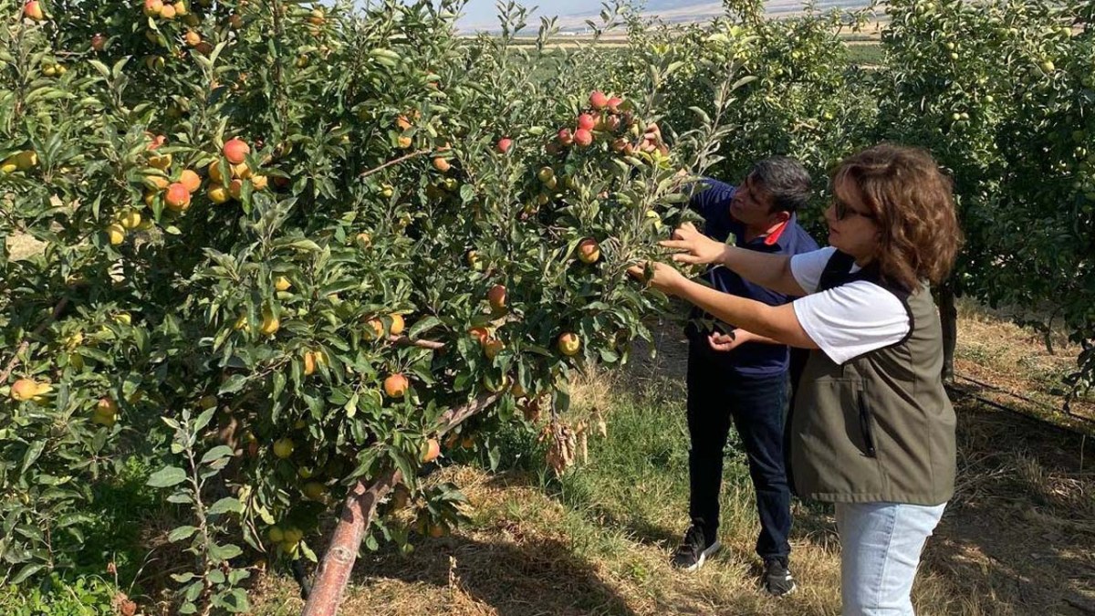 İyi Tarım Uygulamaları Kapsamında Denetimler Sürüyor