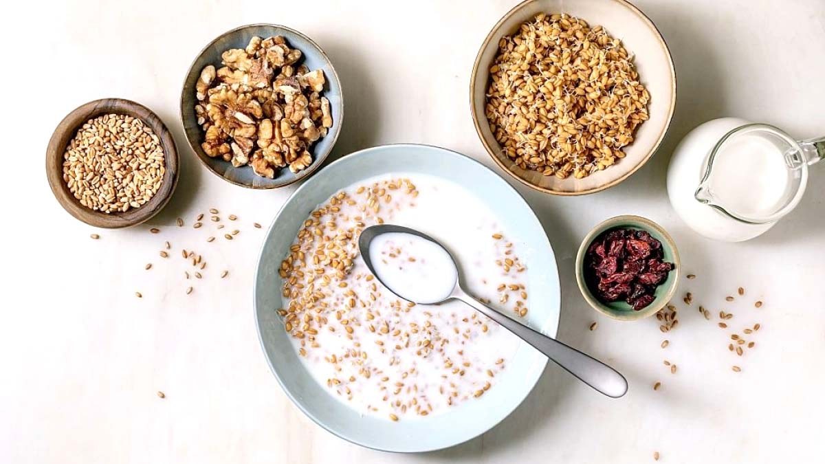 Online Maxxing Çağında Lif ve Protein: Neden Kritik?