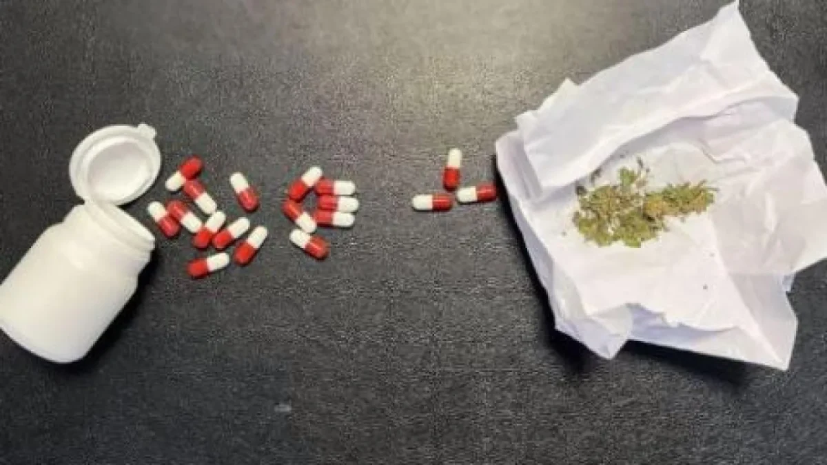 Afyon Polisi suçlulara göz açtırmıyor