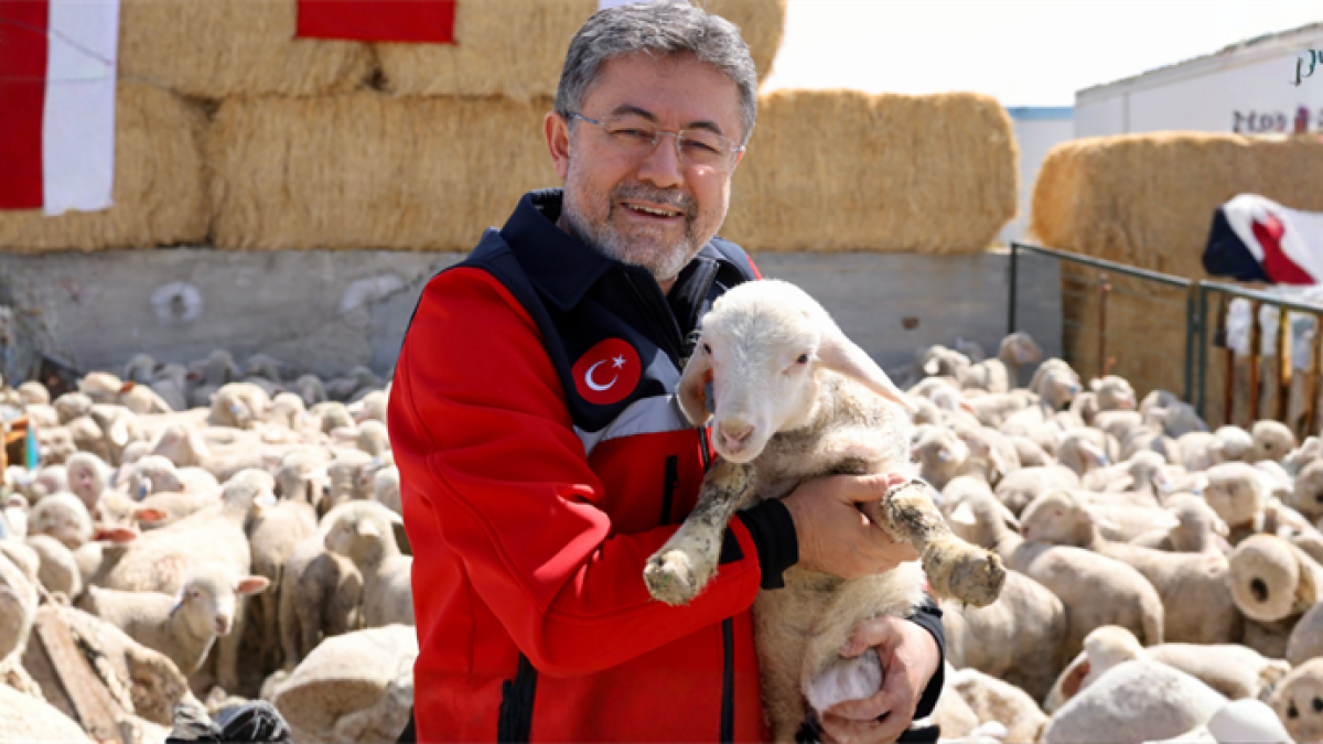 BAKAN YUMAKLI: “KIRSALDA BEREKET KÜÇÜKBAŞA DESTEK PROJESİ’NDE YILLIK 180 BİN LİRA DESTEK VERECEĞİZ”