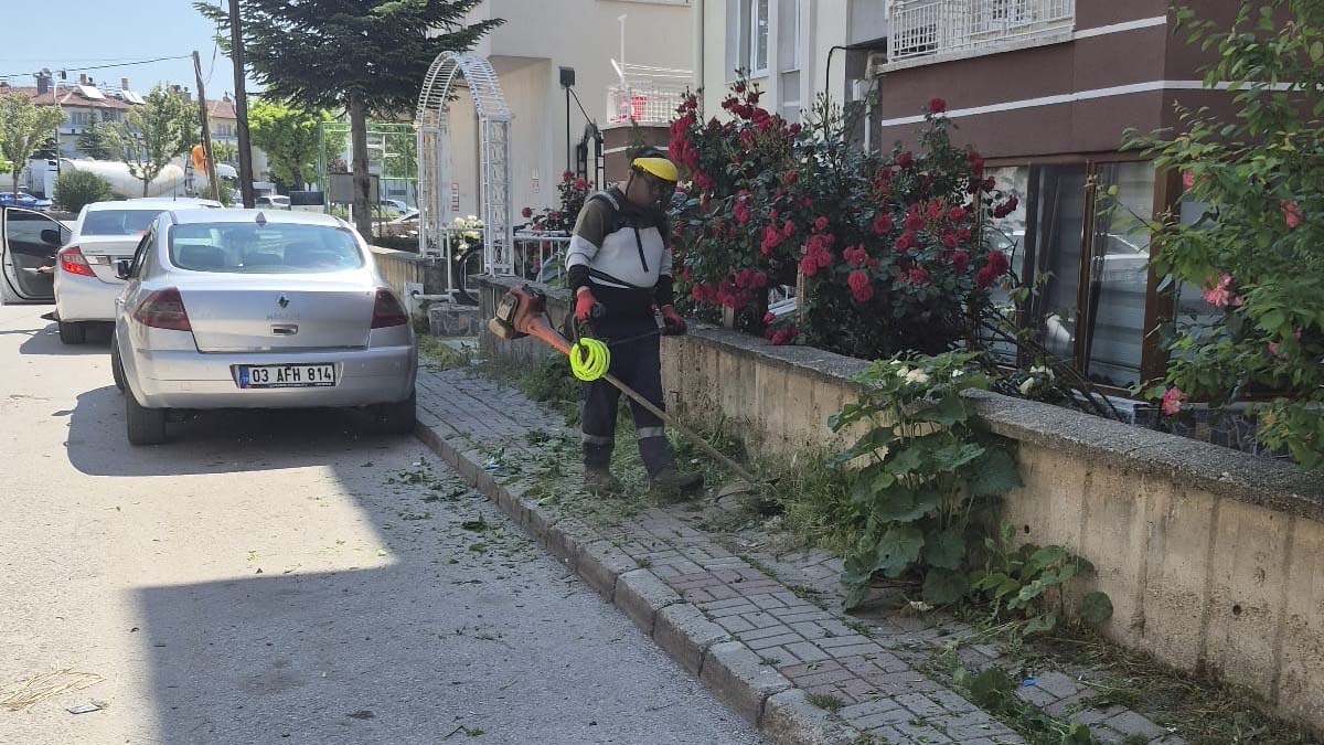 Belediyeden Yabani Otlarla Mücadele Çalışması