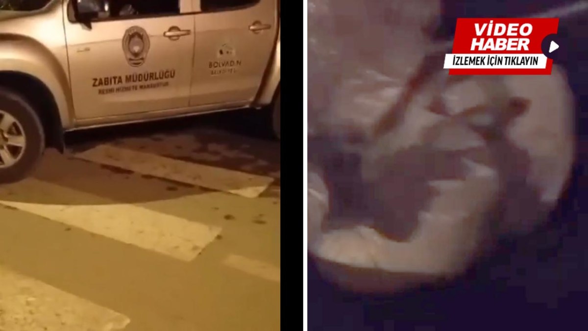 Bolvadin’de Gece Köpek Toplama İddiası: Zabıta Aracıyla Çuvallara Konulduğu Öne Sürüldü