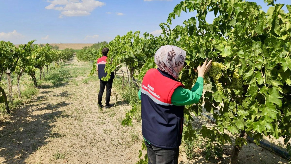 Başmakçı ve Bolvadin’de Üretim Alanlarında Arazi Kontrolleri Sürüyor
