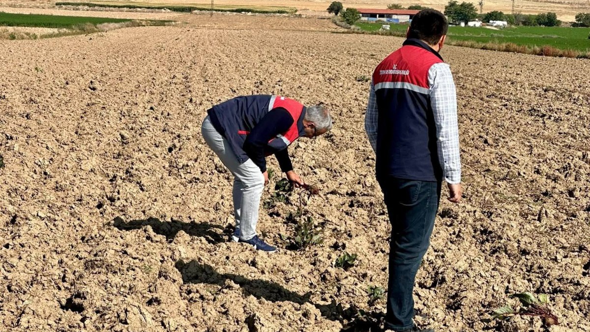 Bolvadin’de Tarım Alanlarında Uzaktan Algılama Kontrolleri Sürüyor