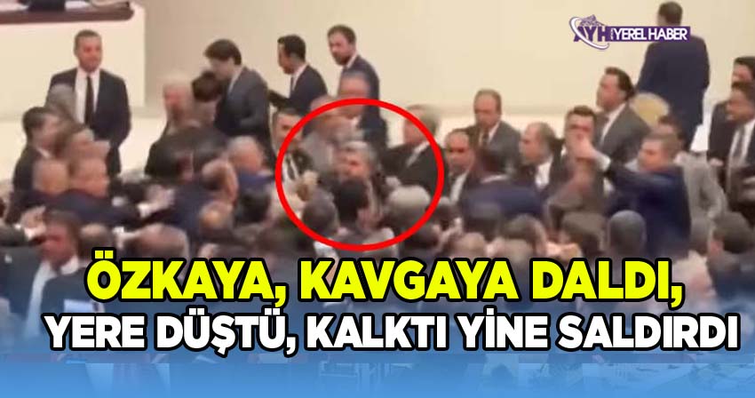 Milletvekili Ali Özkaya, kavgaya daldı, yere düştü, kalktı yine saldırdı